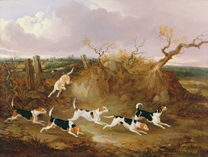 Beagles en pleine course, 1845